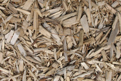 biomass boilers Capel Isaac